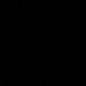 Meet your Posher, Brady